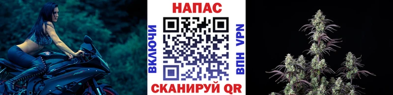Где купить Сосновка Cocaine  Меф мяу мяу  Канабис 