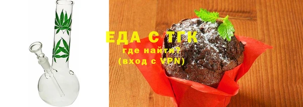 индика Аркадак