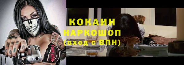 индика Аркадак