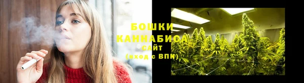индика Аркадак