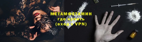 индика Аркадак