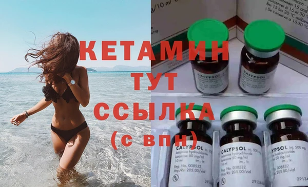 индика Аркадак