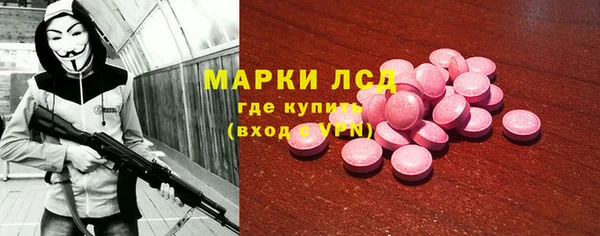 индика Аркадак