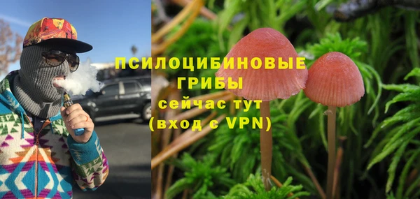индика Аркадак