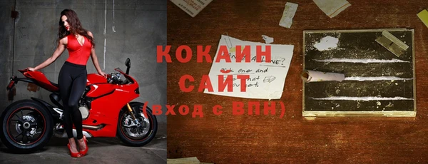 индика Аркадак