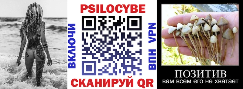 Псилоцибиновые грибы Cubensis  наркота  kraken как войти  Сосновка 